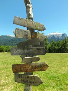 Trip choices landscape