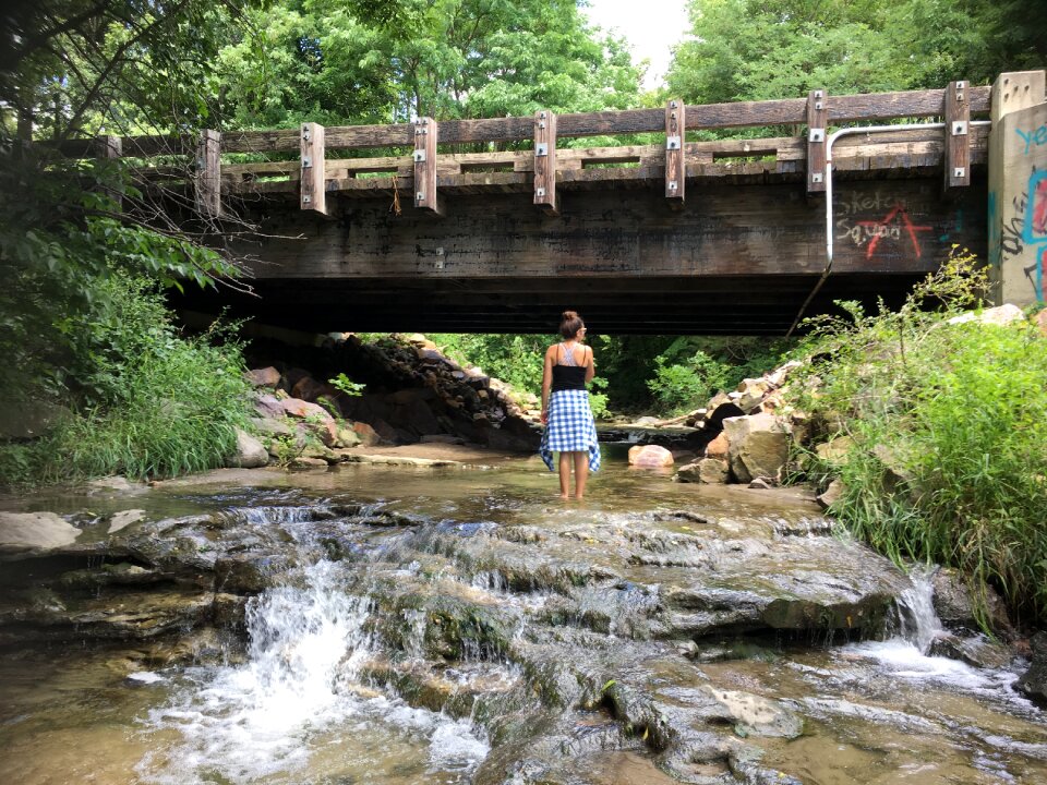 Summer nature outdoor
