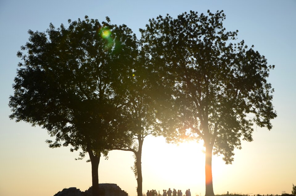 Light sunset field