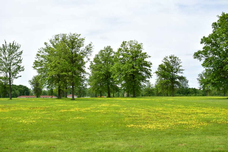 Landscape green sky