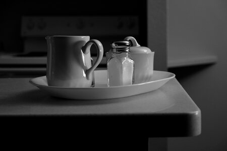 Salt kitchen counter gray kitchen photo