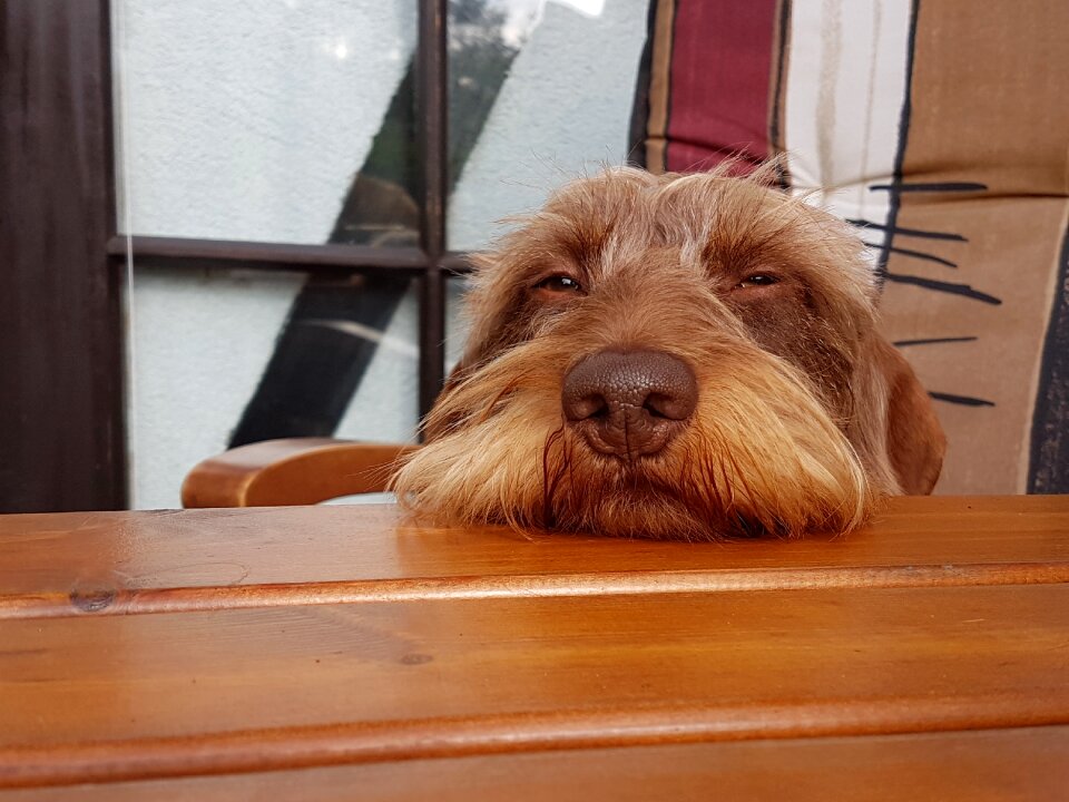 Male 2 years tired