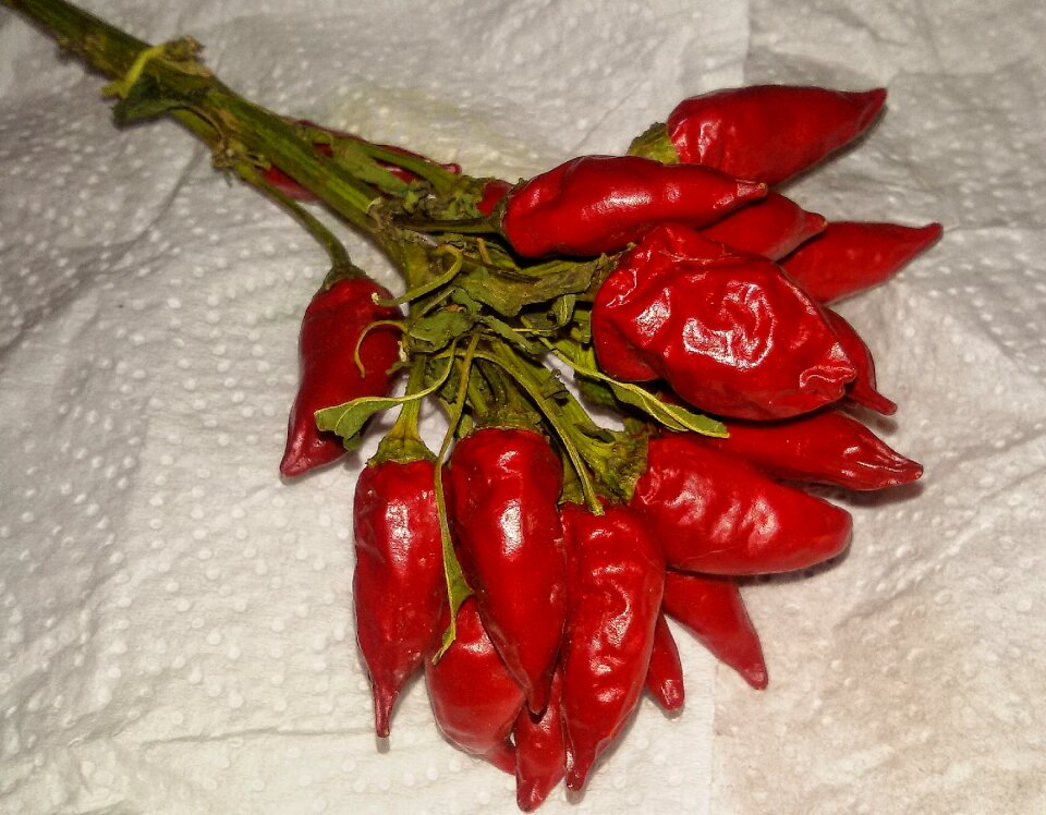 Kitchen red flavor