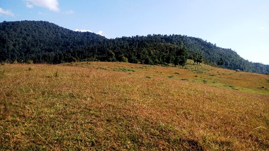 Himalayan meadow tourism