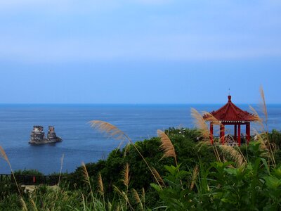 Grass sea ocean
