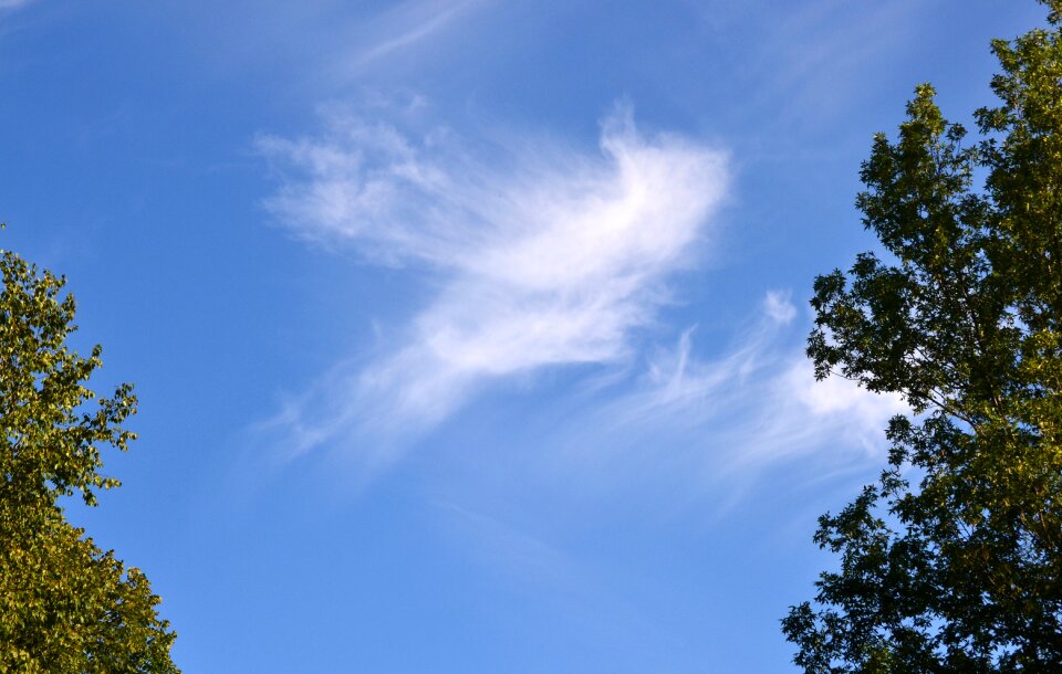 Cloud pattern