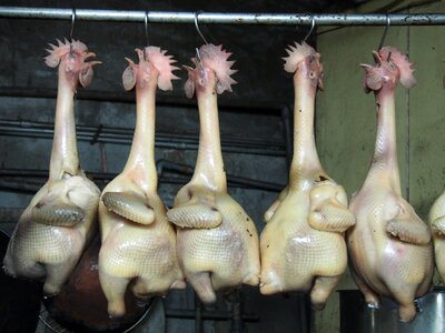 The tradition of cooking kitchen