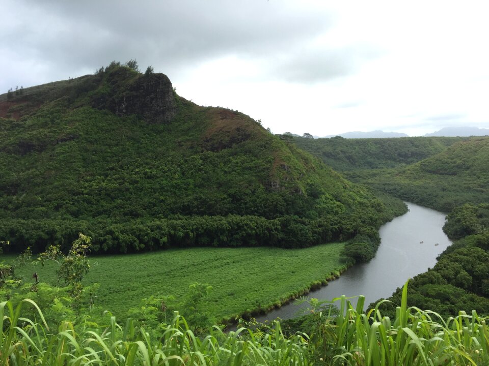 Green green island