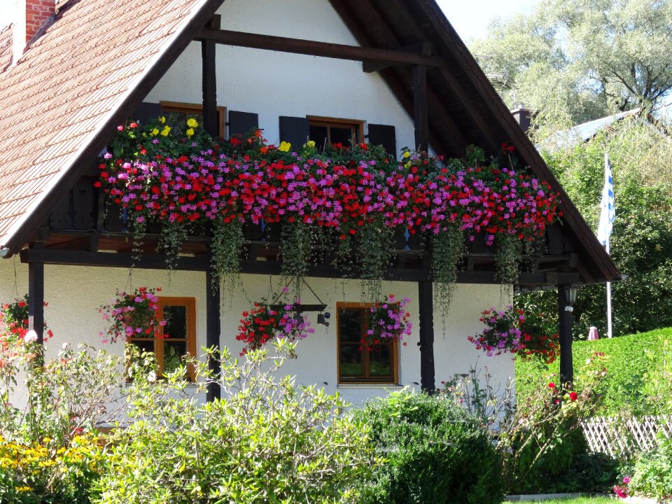 Balcony flowers decorated