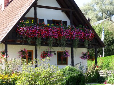 Balcony flowers decorated