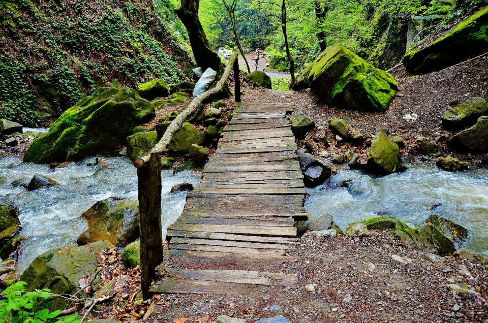 Landscape nature step