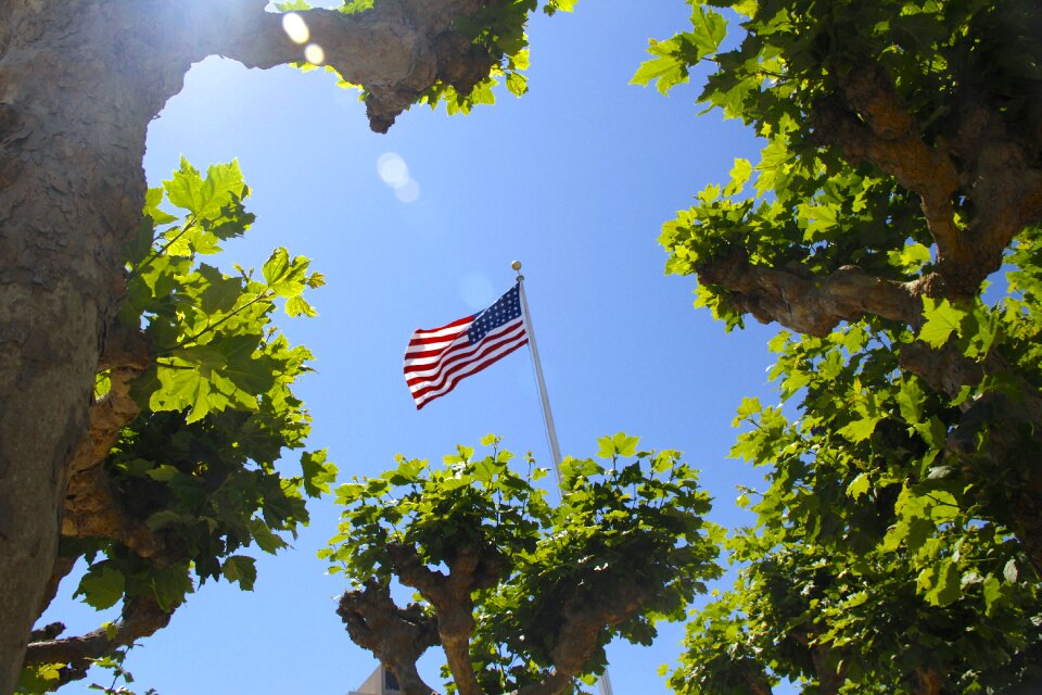 America usa symbol