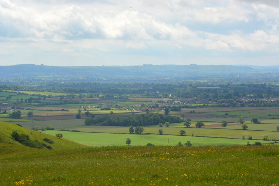 Landscape green tranquil photo