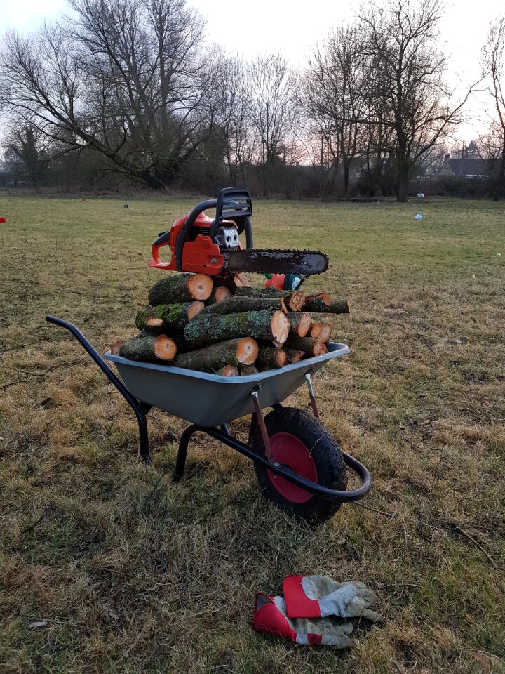 Sunset woodcutting