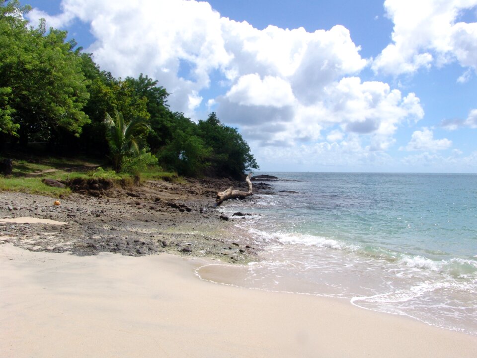 Horizontal ocean tropicale