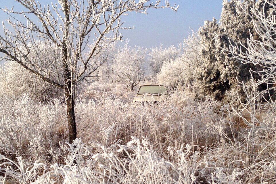 Snow cold nature