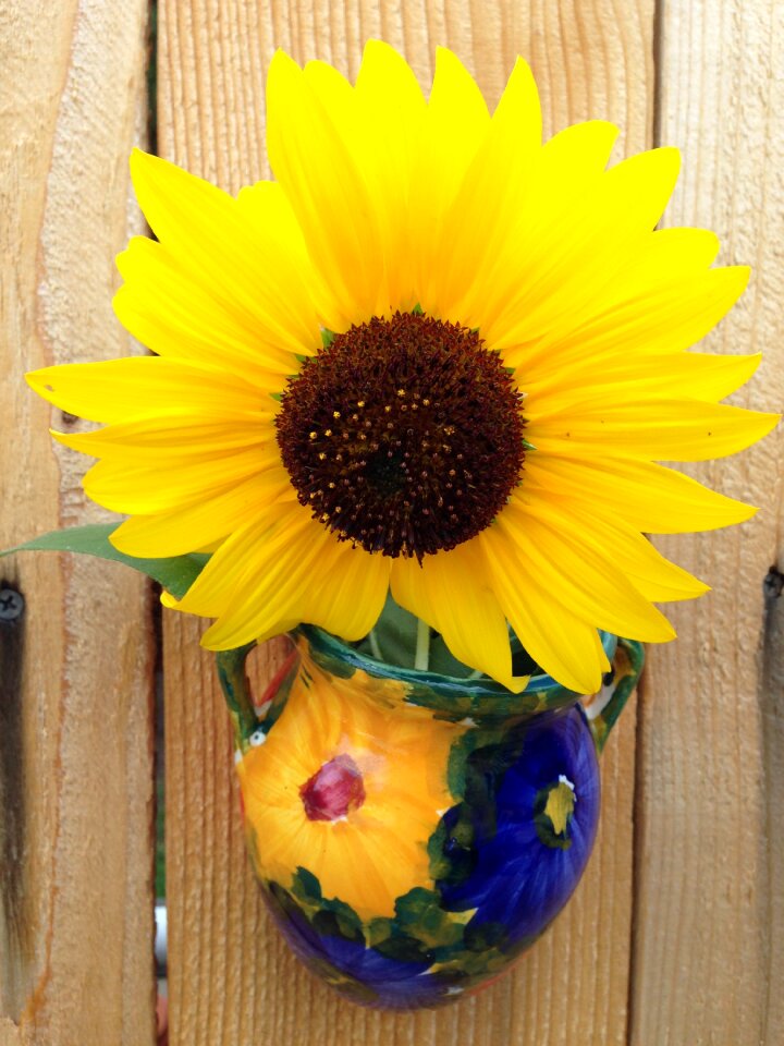 Bright spring blooming