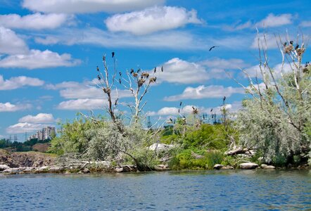 Sky clouds island