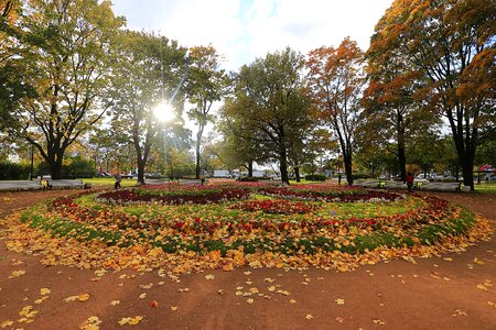 St petersburg russia great
