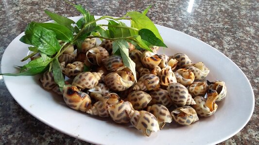 Snail incense steamed