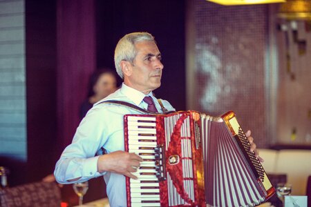 Accordionist accordion