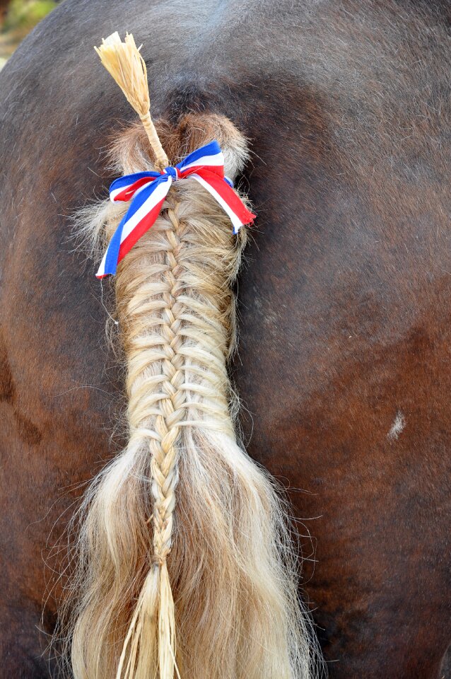Animal mat plait