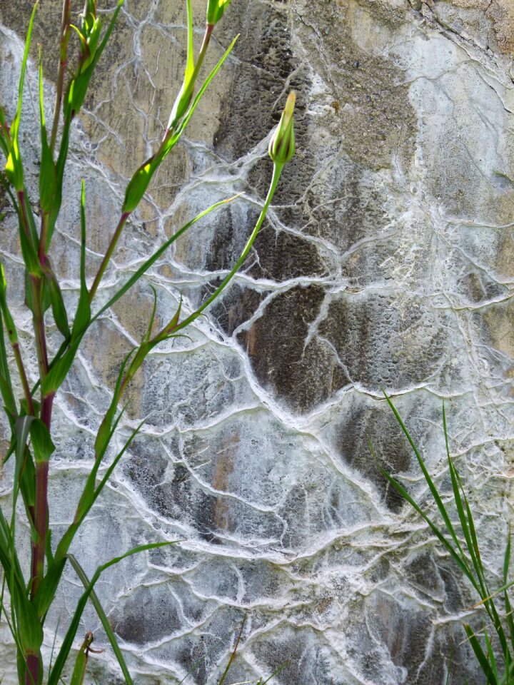 Concrete material