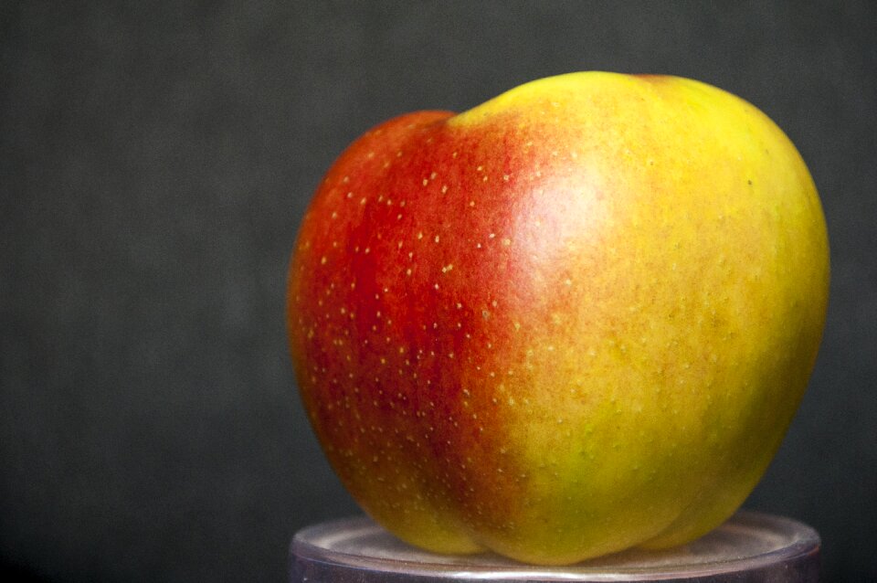 Fruit sweet organic