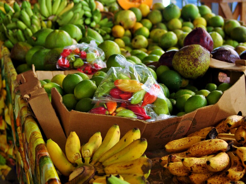 Caribbean martinique fruit