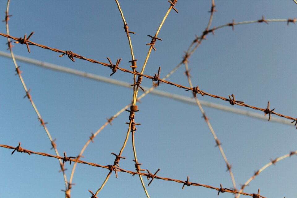 Thorn close fence photo