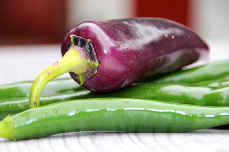 Herb sharp mediterranean