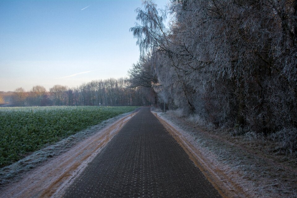 Winter nature outside