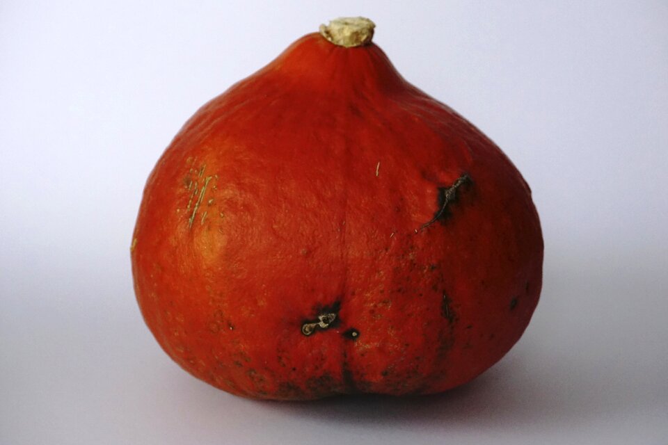 Vegetables autumn motive autumn decoration