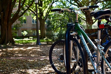 College university walk photo