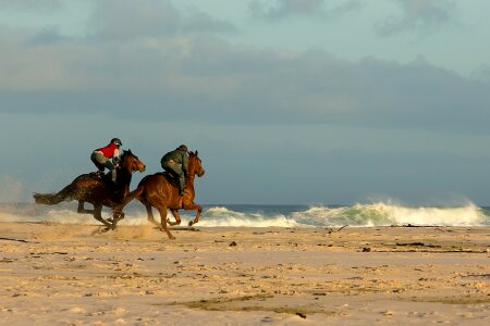 Sand riding horseback photo