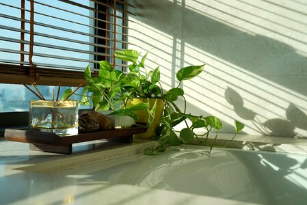 Bright sunshine bath photo