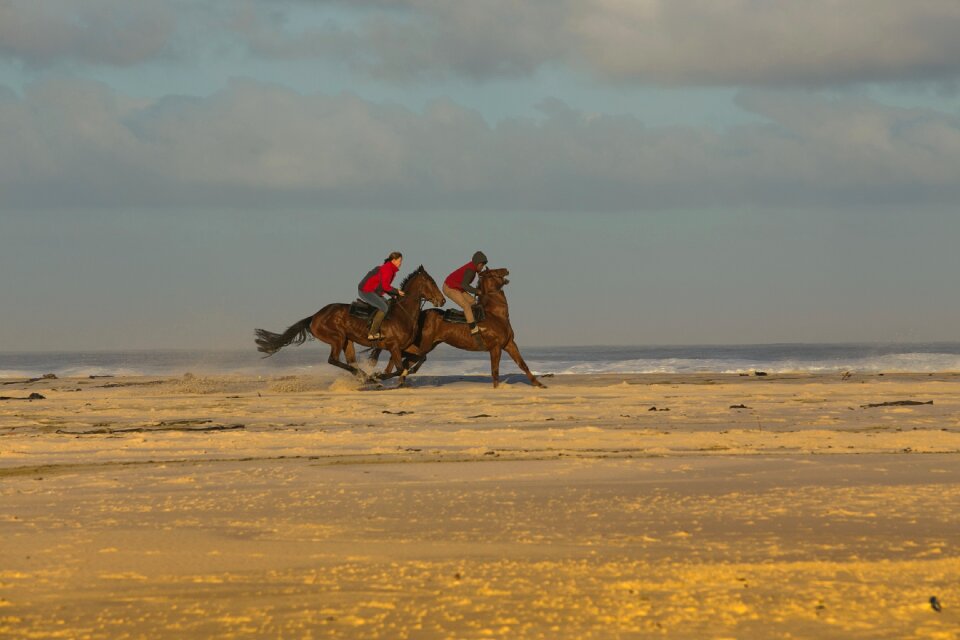 Sand riding horseback