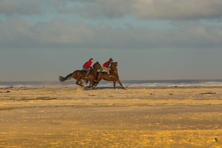 Sand riding horseback photo