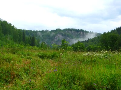 Landscape green beauty photo