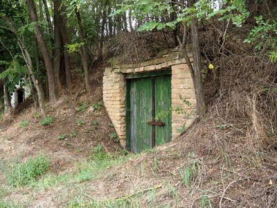 Cellar lapsed old