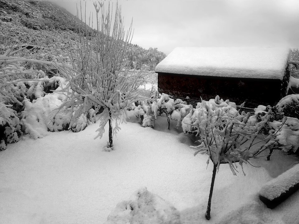 Lazio italy cold