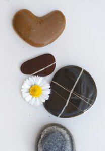 Pebble plump meditation photo