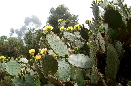 Spain landscape nature