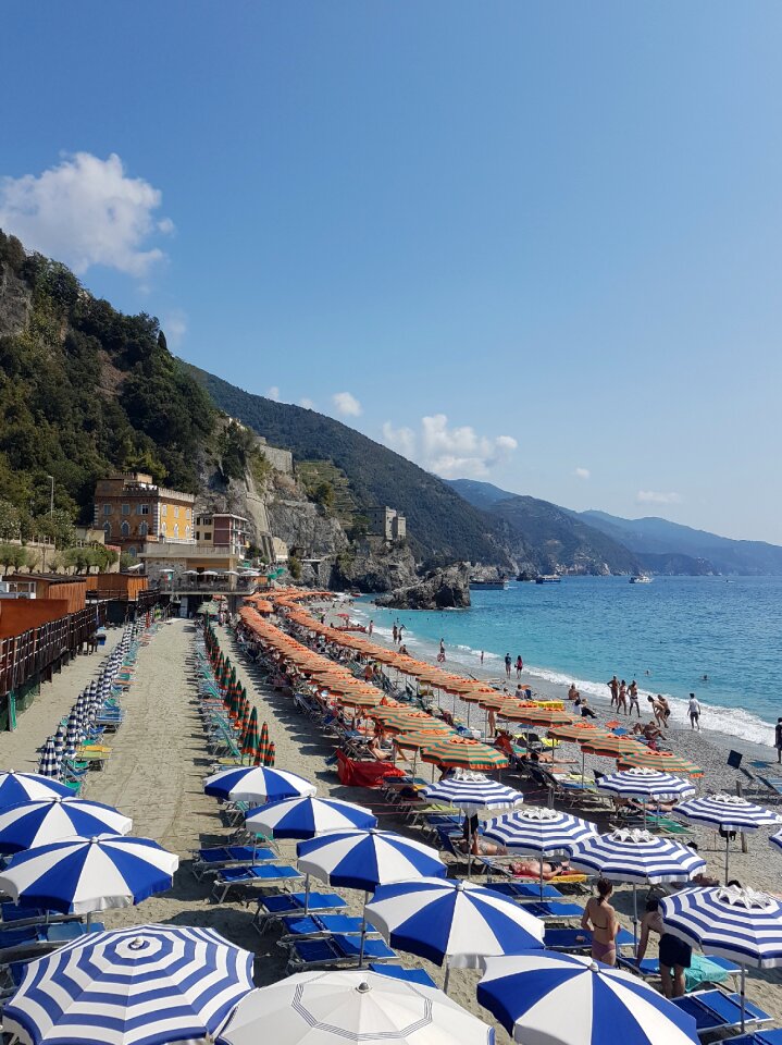Colorful swimming monterosso