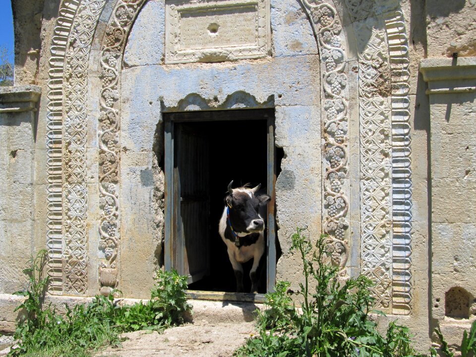 Morning travel trabzon photo