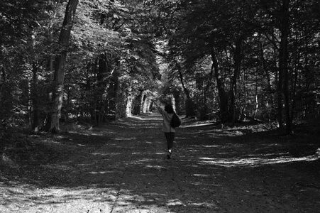 Forest black and white woman photo