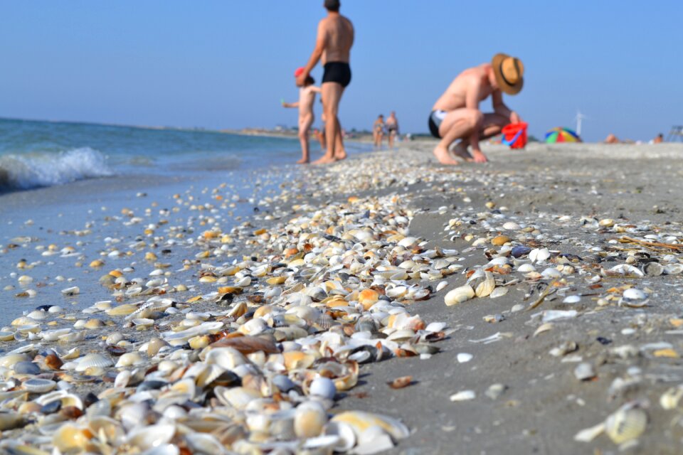 Summer great sand