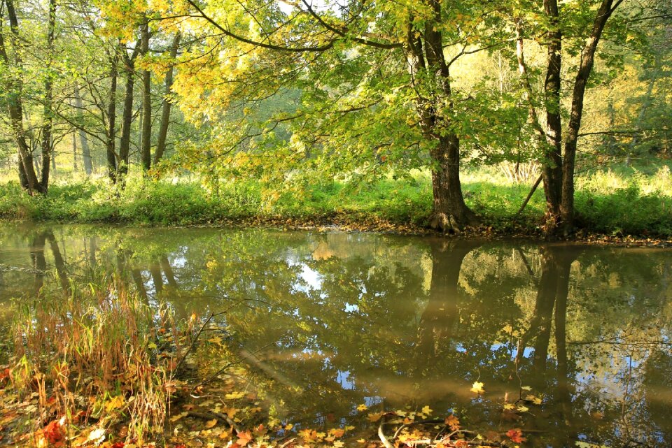 Autumn stream flow