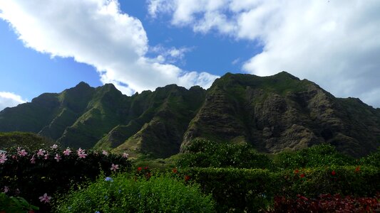 Hawaii landscape nature