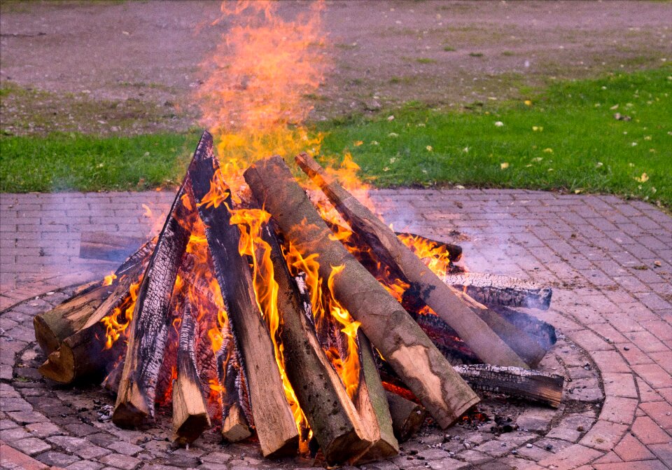 Beech wood potato fire potato roast photo